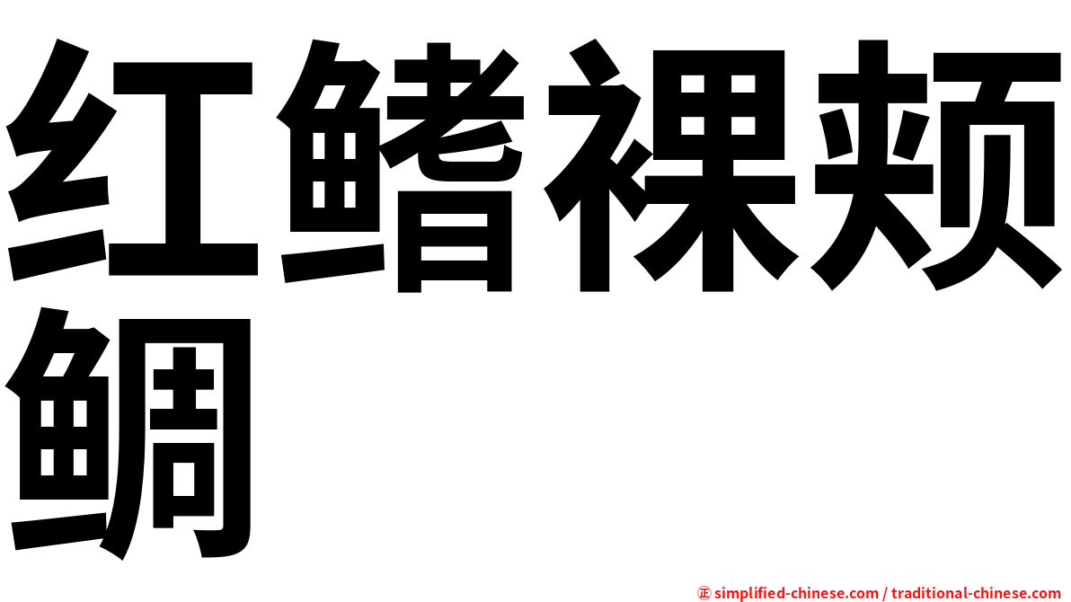 红鳍裸颊鲷
