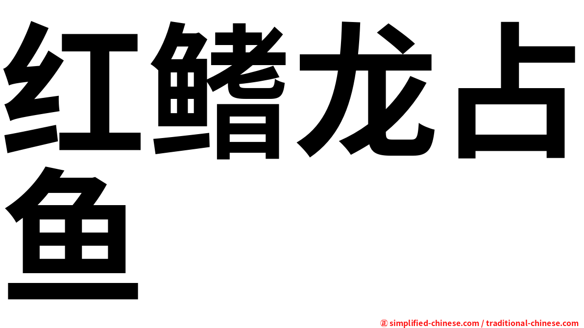 红鳍龙占鱼