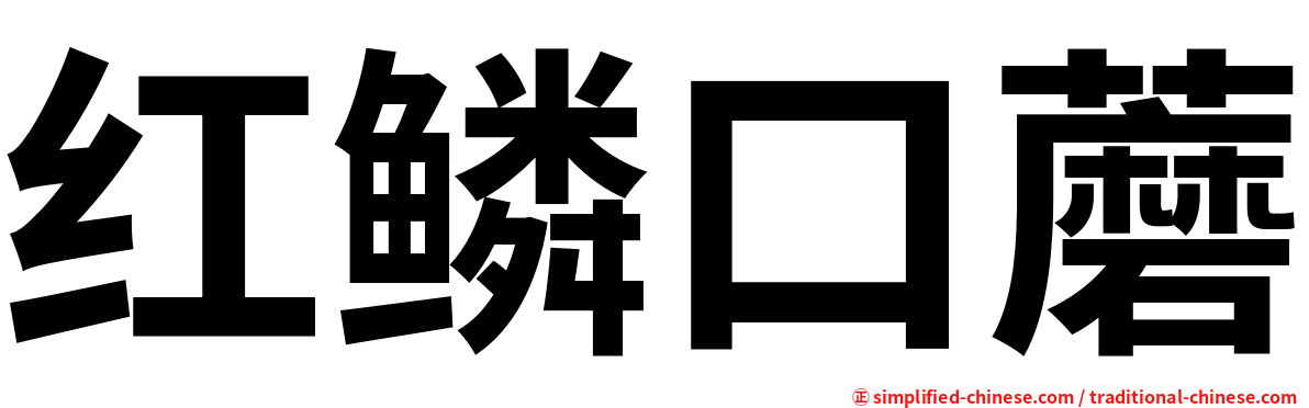 红鳞口蘑