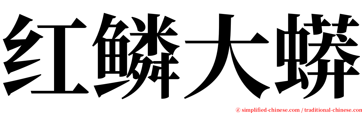 红鳞大蟒 serif font