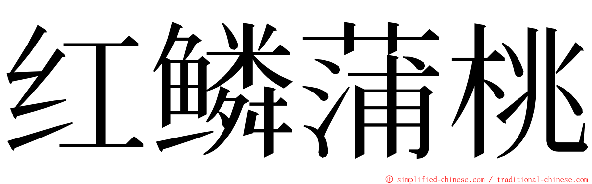 红鳞蒲桃 ming font