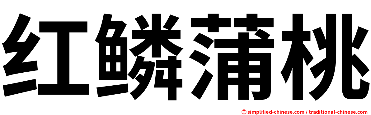 红鳞蒲桃