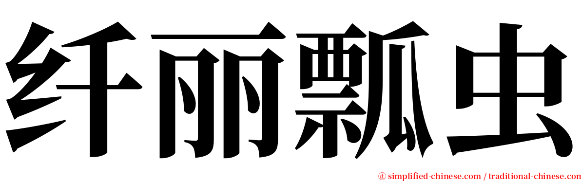 纤丽瓢虫 serif font