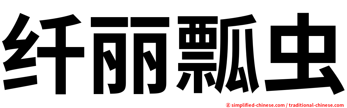纤丽瓢虫