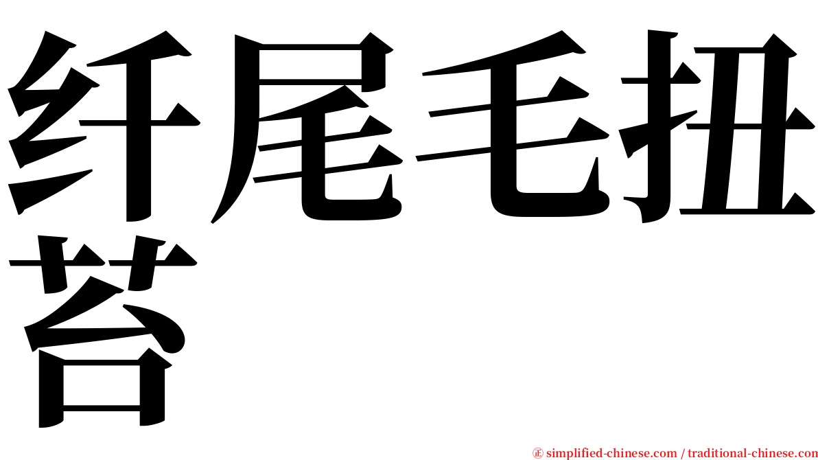 纤尾毛扭苔 serif font