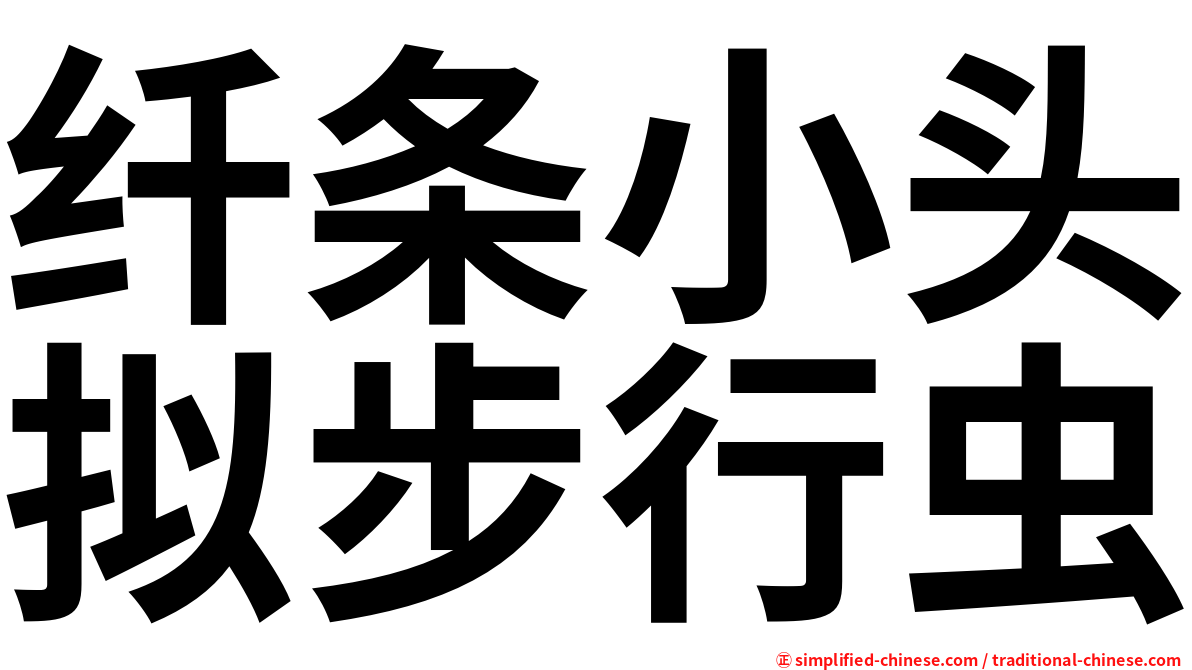 纤条小头拟步行虫