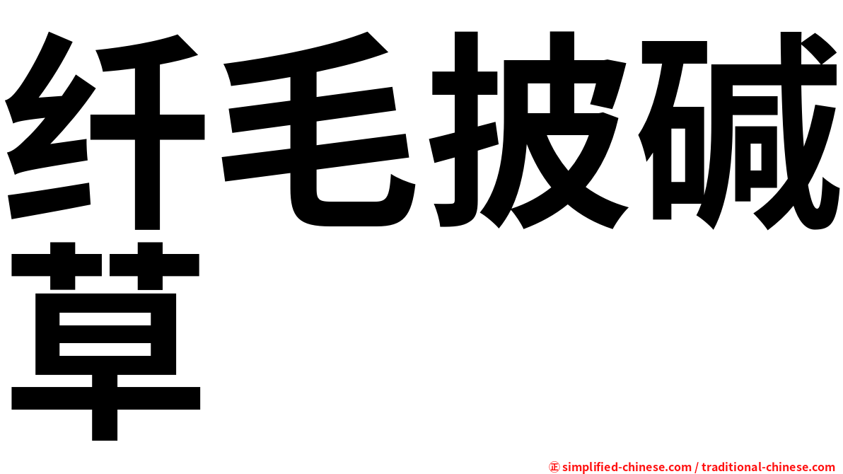 纤毛披碱草