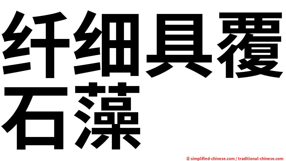 纤细具覆石藻