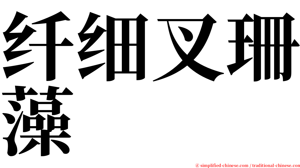 纤细叉珊藻 serif font