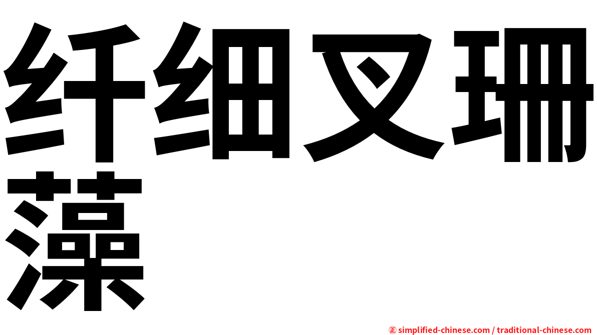 纤细叉珊藻