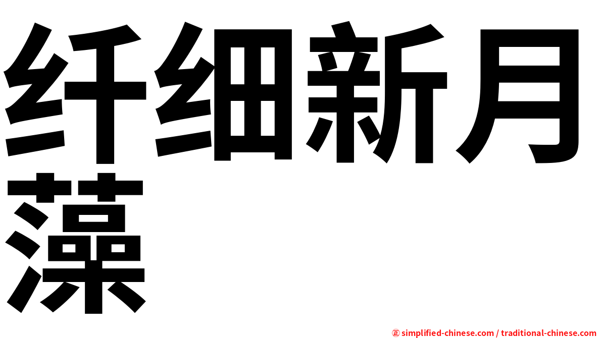 纤细新月藻
