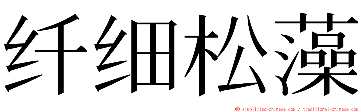 纤细松藻 ming font