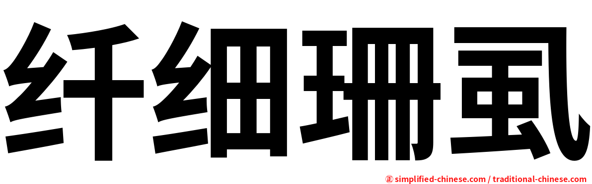 纤细珊虱