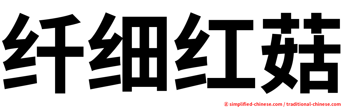 纤细红菇