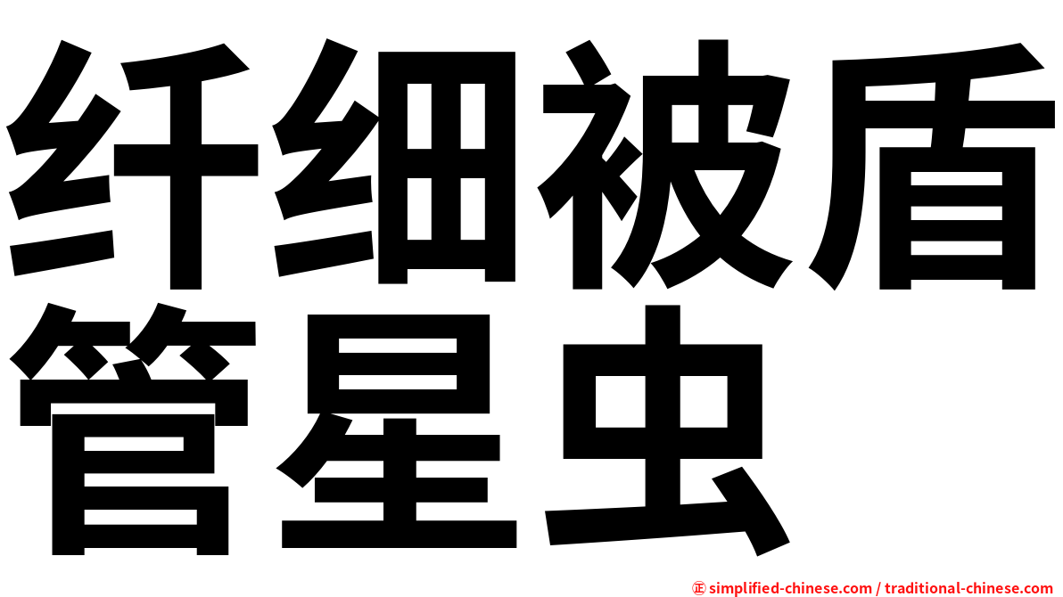 纤细被盾管星虫