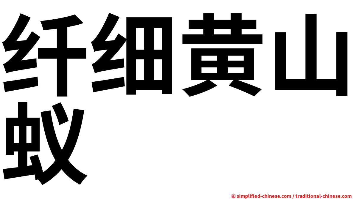纤细黄山蚁