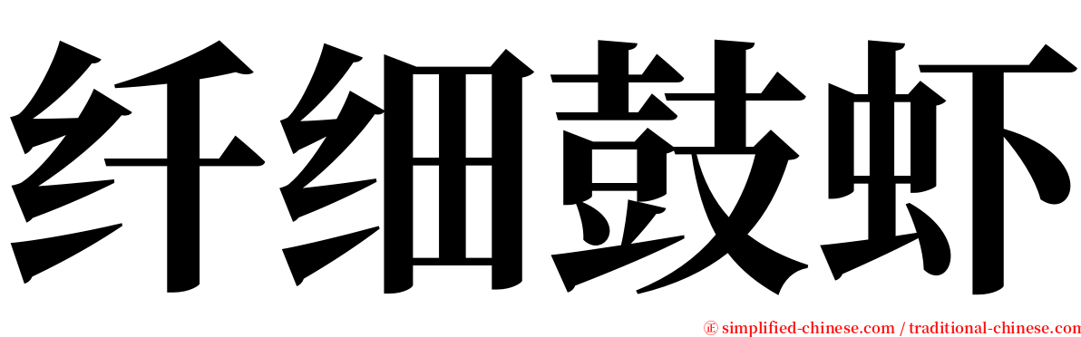 纤细鼓虾 serif font