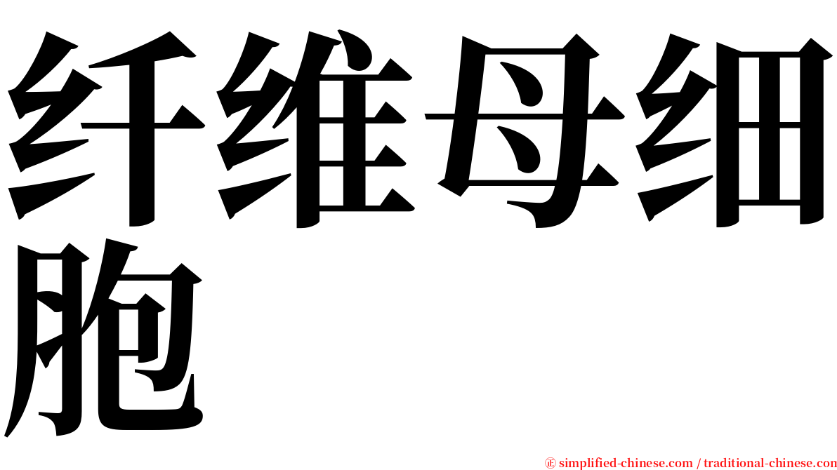 纤维母细胞 serif font