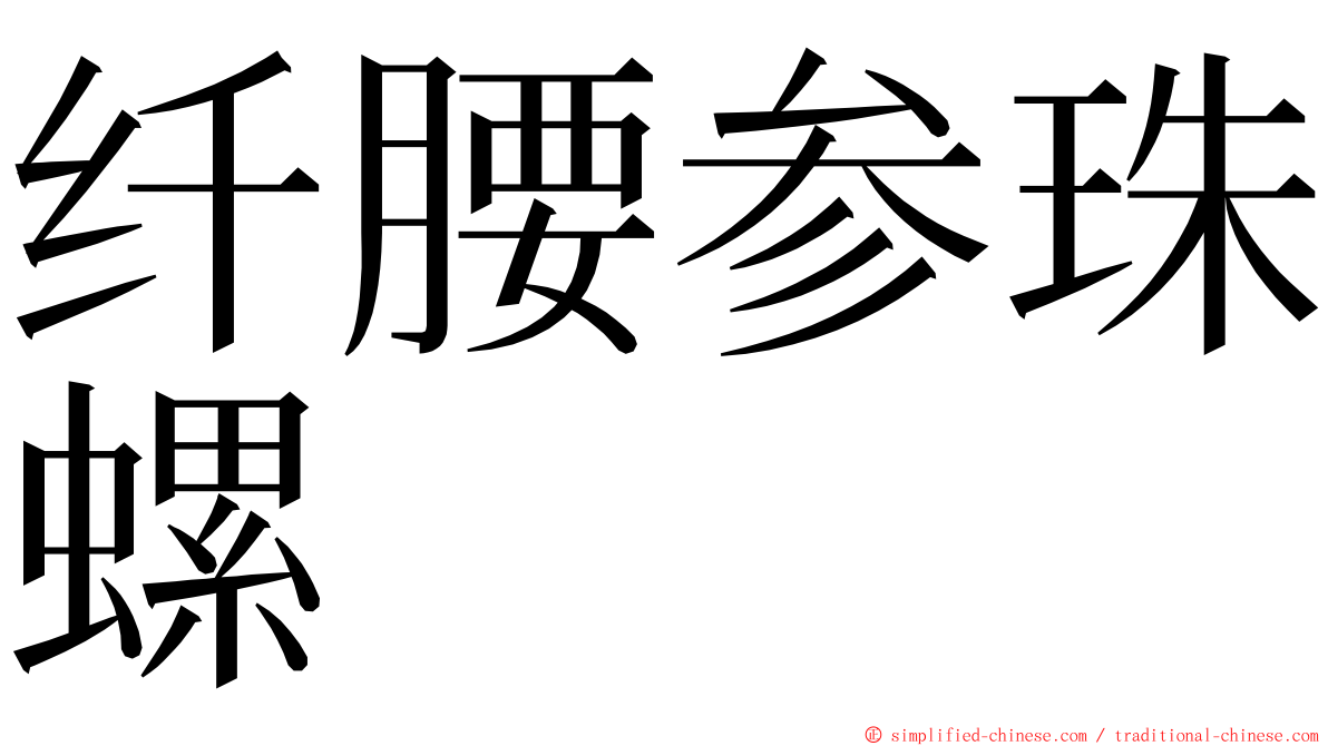 纤腰参珠螺 ming font