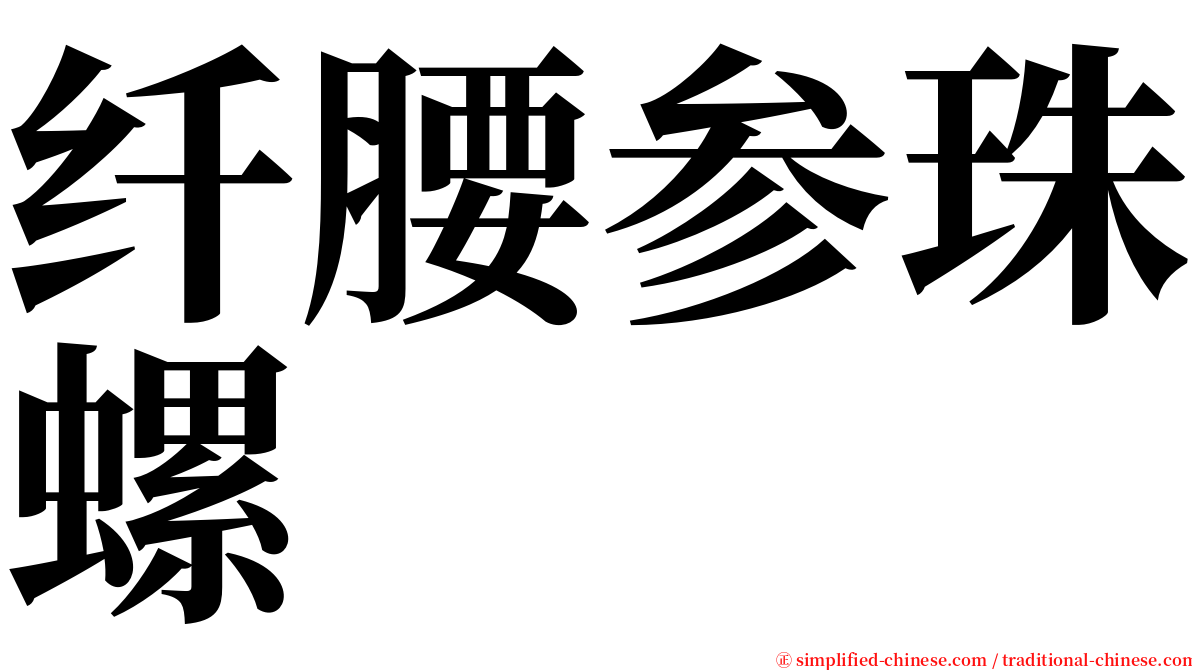 纤腰参珠螺 serif font