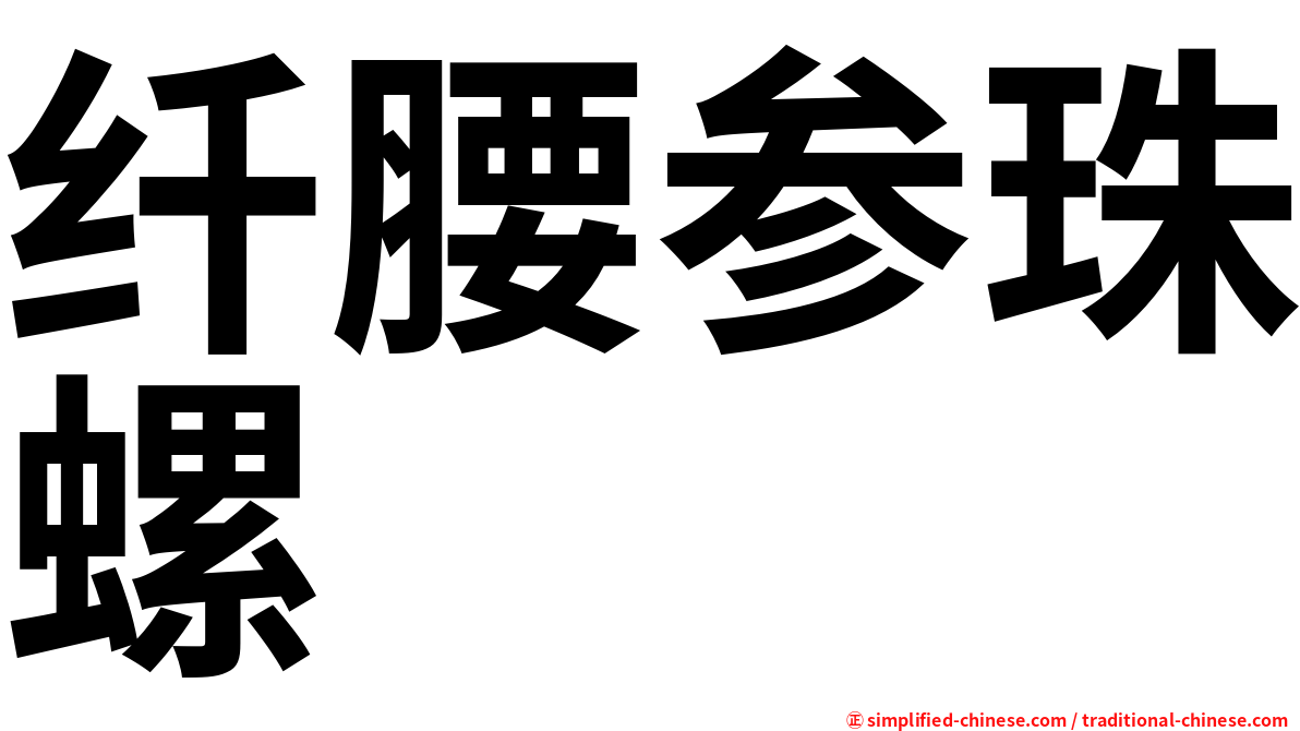 纤腰参珠螺