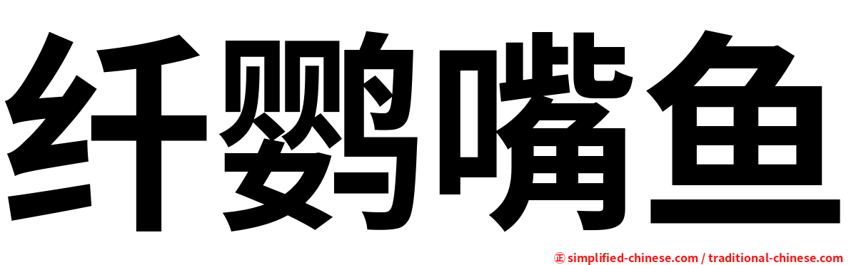 纤鹦嘴鱼