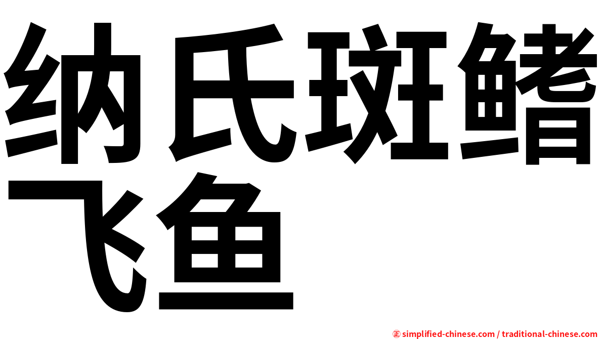 纳氏斑鳍飞鱼