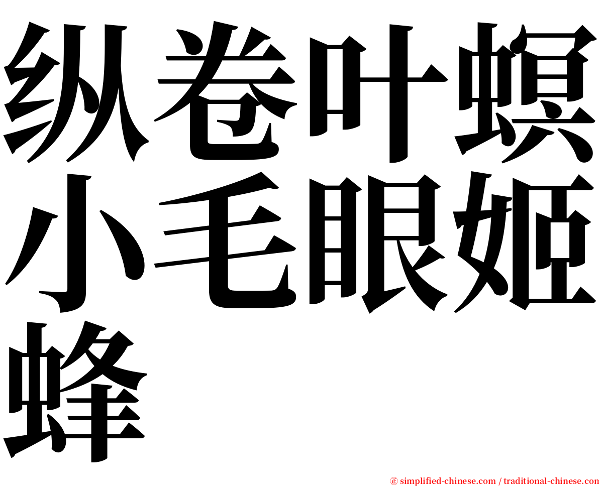 纵卷叶螟小毛眼姬蜂 serif font