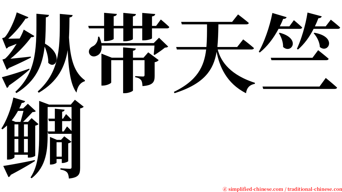 纵带天竺鲷 serif font