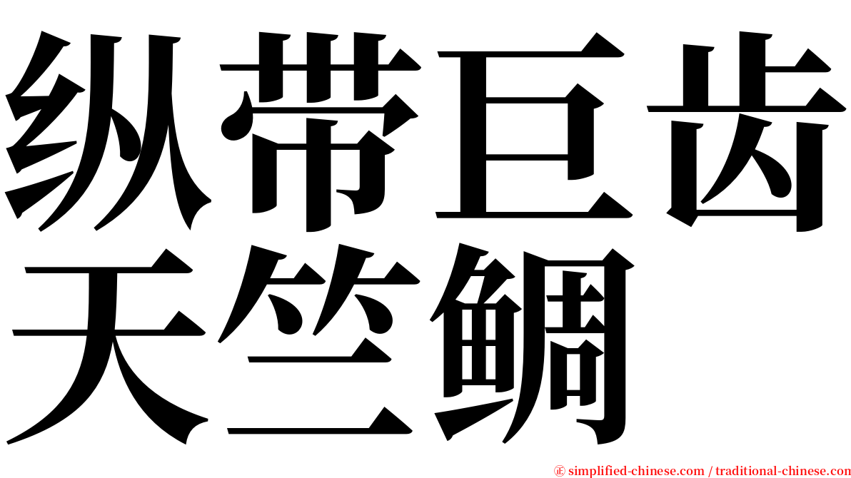 纵带巨齿天竺鲷 serif font