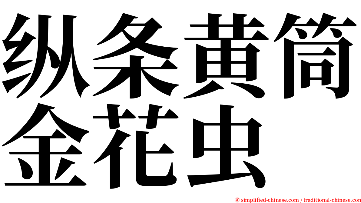 纵条黄筒金花虫 serif font