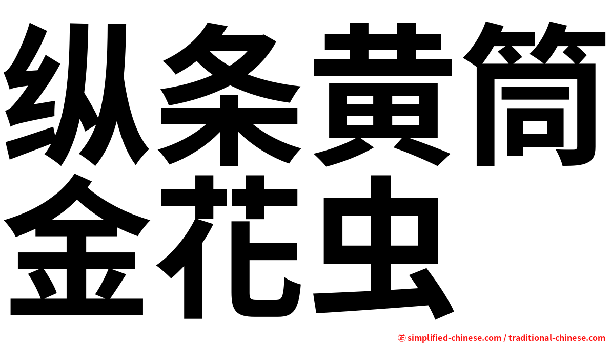 纵条黄筒金花虫
