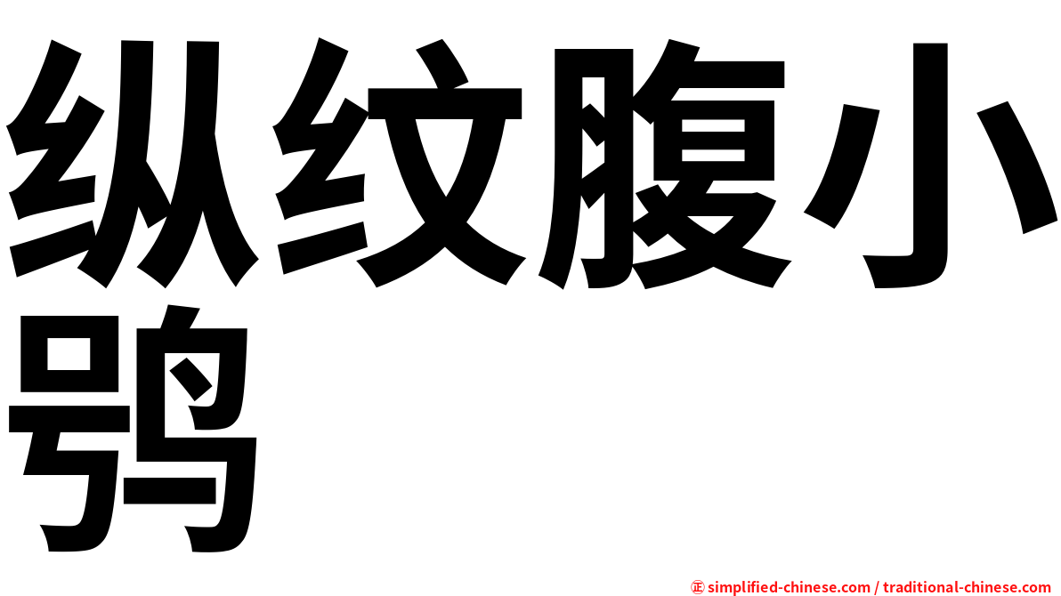 纵纹腹小鸮