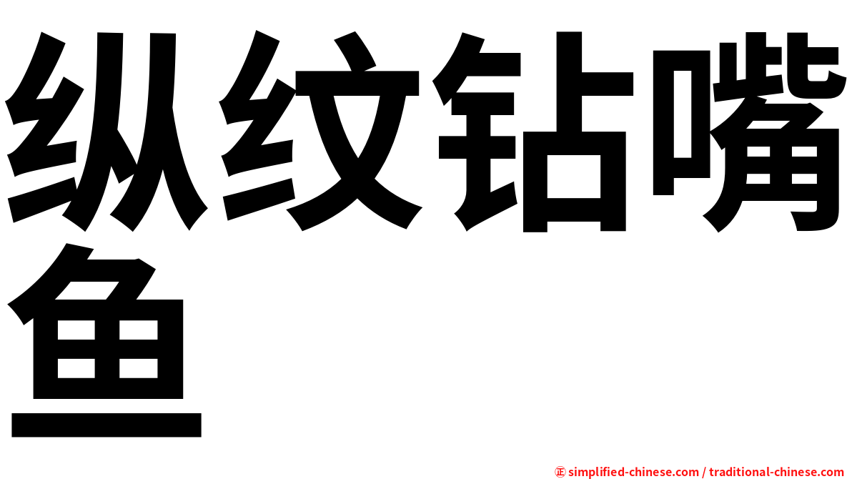 纵纹钻嘴鱼