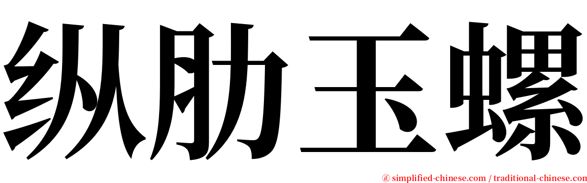 纵肋玉螺 serif font