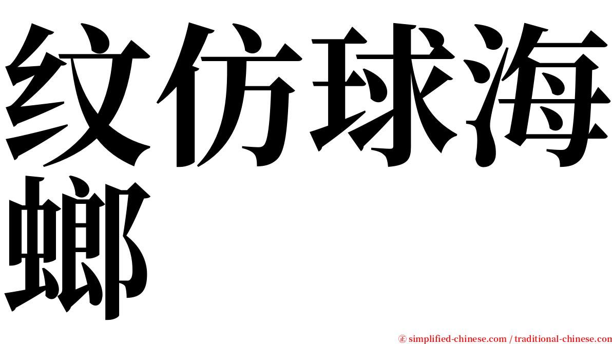 纹仿球海螂 serif font