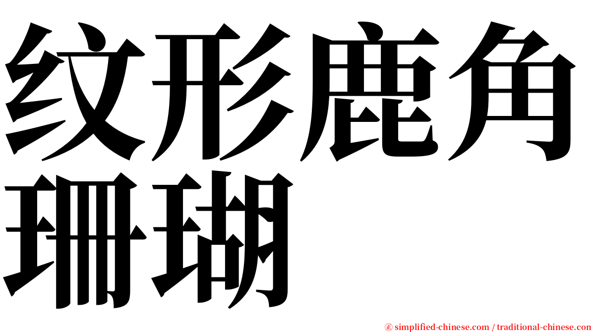 纹形鹿角珊瑚 serif font