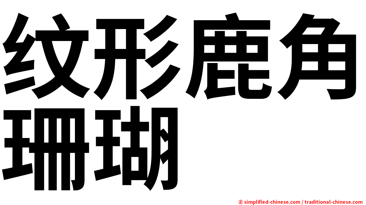 纹形鹿角珊瑚