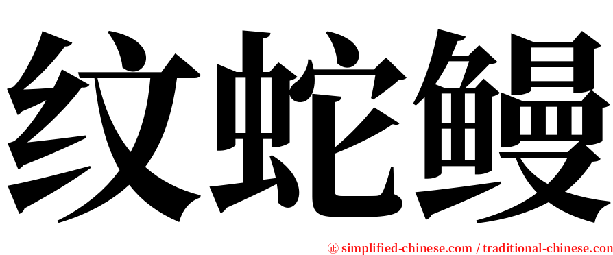 纹蛇鳗 serif font
