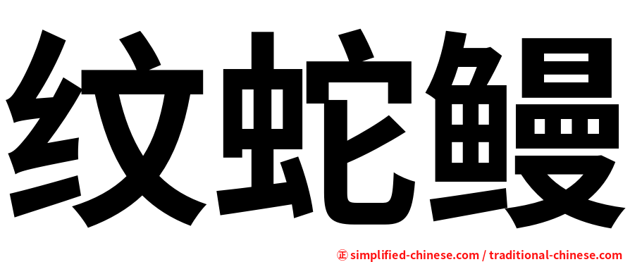 纹蛇鳗