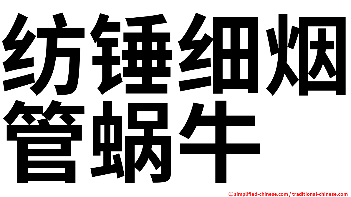 纺锤细烟管蜗牛