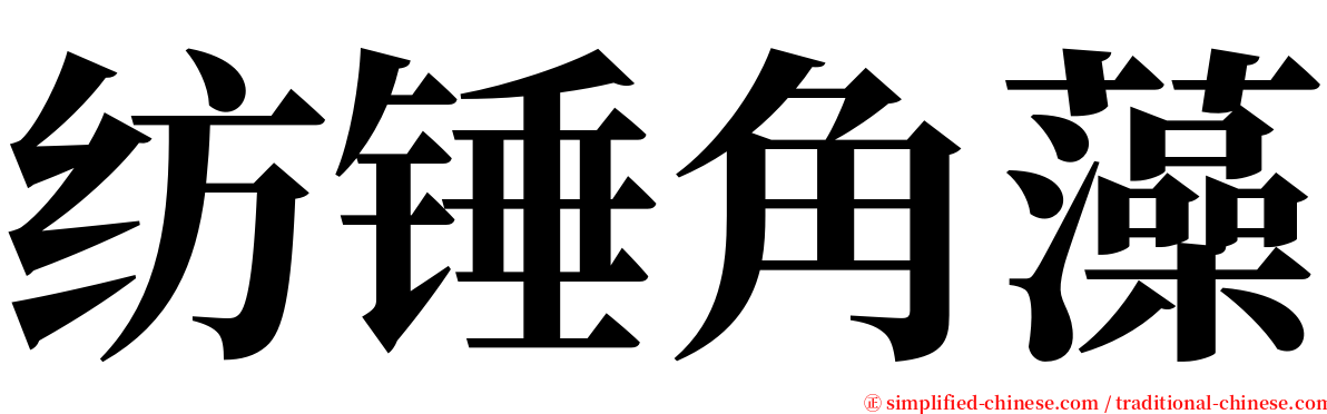 纺锤角藻 serif font