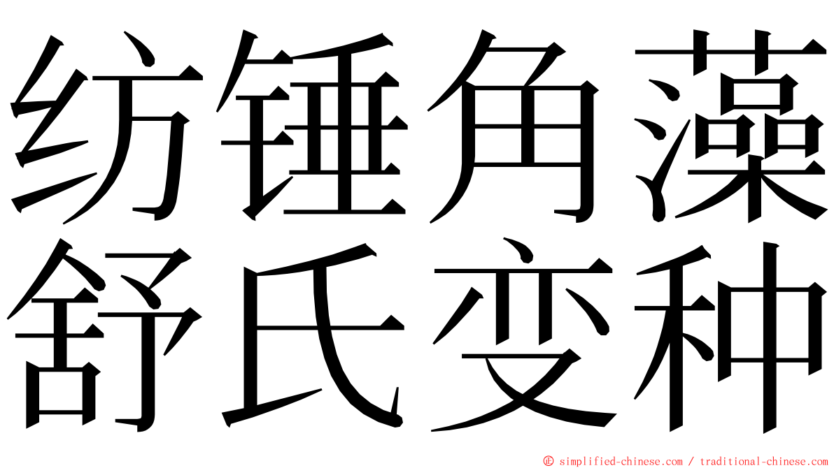 纺锤角藻舒氏变种 ming font