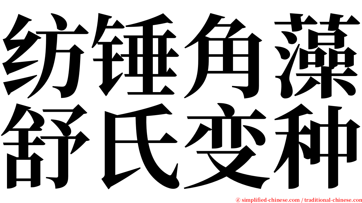 纺锤角藻舒氏变种 serif font