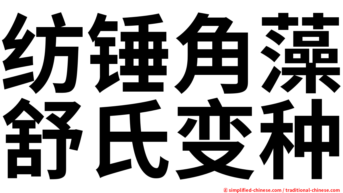 纺锤角藻舒氏变种