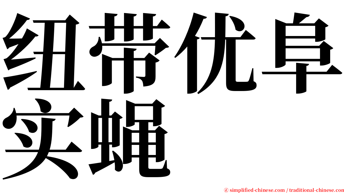 纽带优阜实蝇 serif font