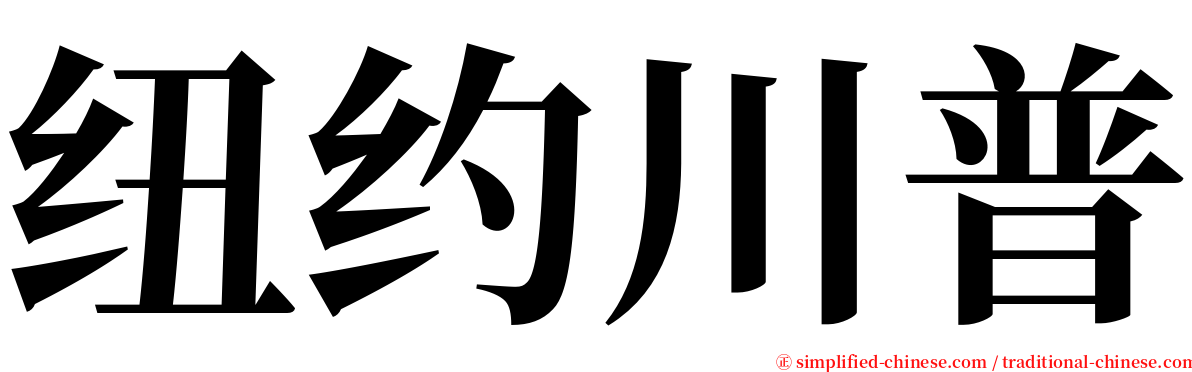 纽约川普 serif font