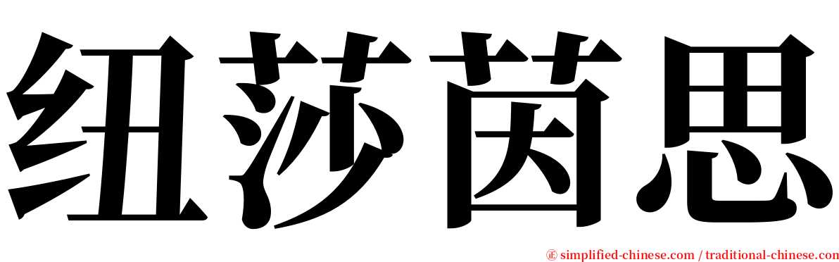 纽莎茵思 serif font