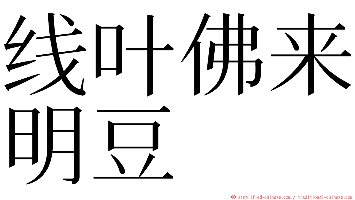 线叶佛来明豆 ming font