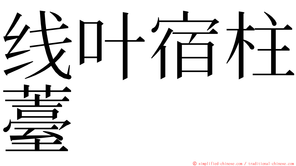 线叶宿柱薹 ming font